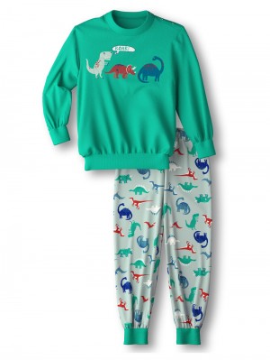 Arcadia Green Calida Toddlers Dino Pyjama With Cuff Kids' Pyjama | DBSPH-4723