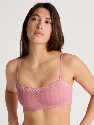 Blush Flower Calida Etude Toujours Bustier Women Underwear | GIPRM-7934