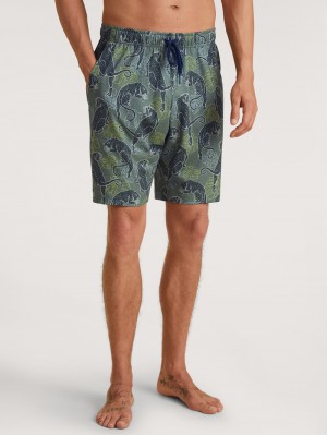 Laurel Green Print Calida Rmx Sleep Holiday Bermudas Men Sleepwear | IRGMB-9435