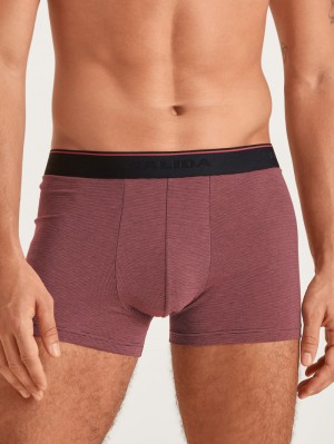 Mineral Red Calida Cotton Stretch Boxer Brief Men Underwear | KNJIX-5612