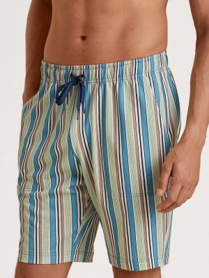 Niagara Blue Calida Rmx Sleep Weekend Bermudas Men Sleepwear | BHEIN-0135