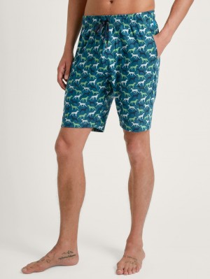 Stone Green Calida Rmx Sleep Weekend Bermudas Men Sleepwear | MPUHV-0417