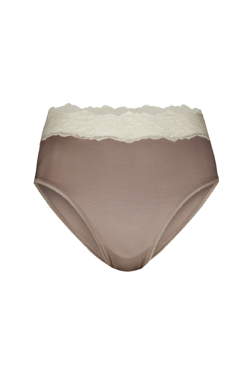 Etherea Taupe Calida Glamorous Lace Brief Women Underwear | ODISX-5164