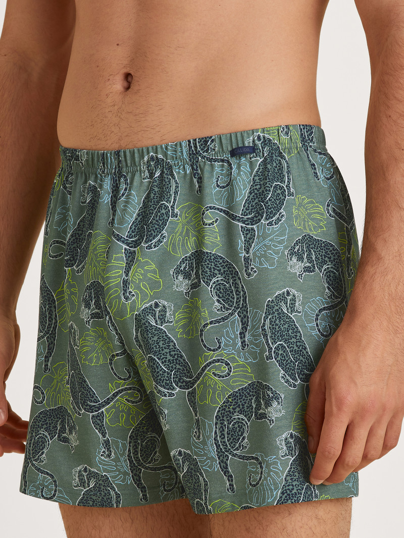 Laurel Green Print Calida Prints Boxer Shorts Men Underwear | WIUEG-5860