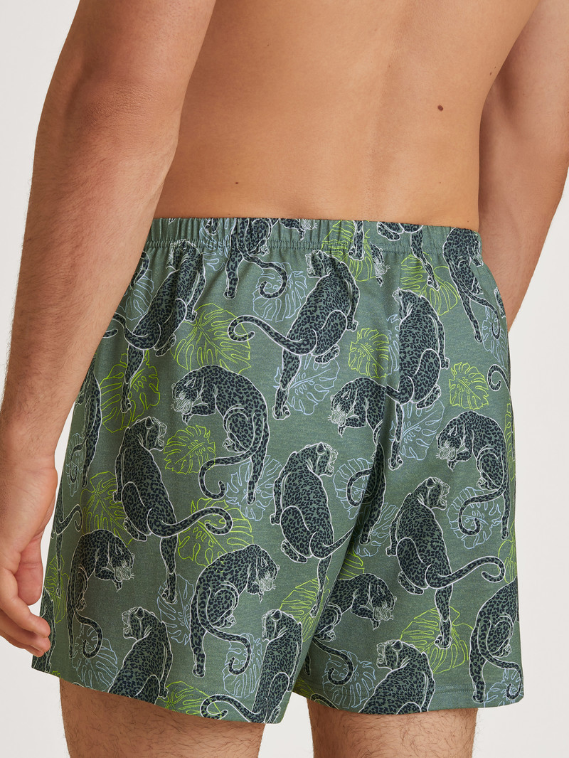 Laurel Green Print Calida Prints Boxer Shorts Men Underwear | WIUEG-5860