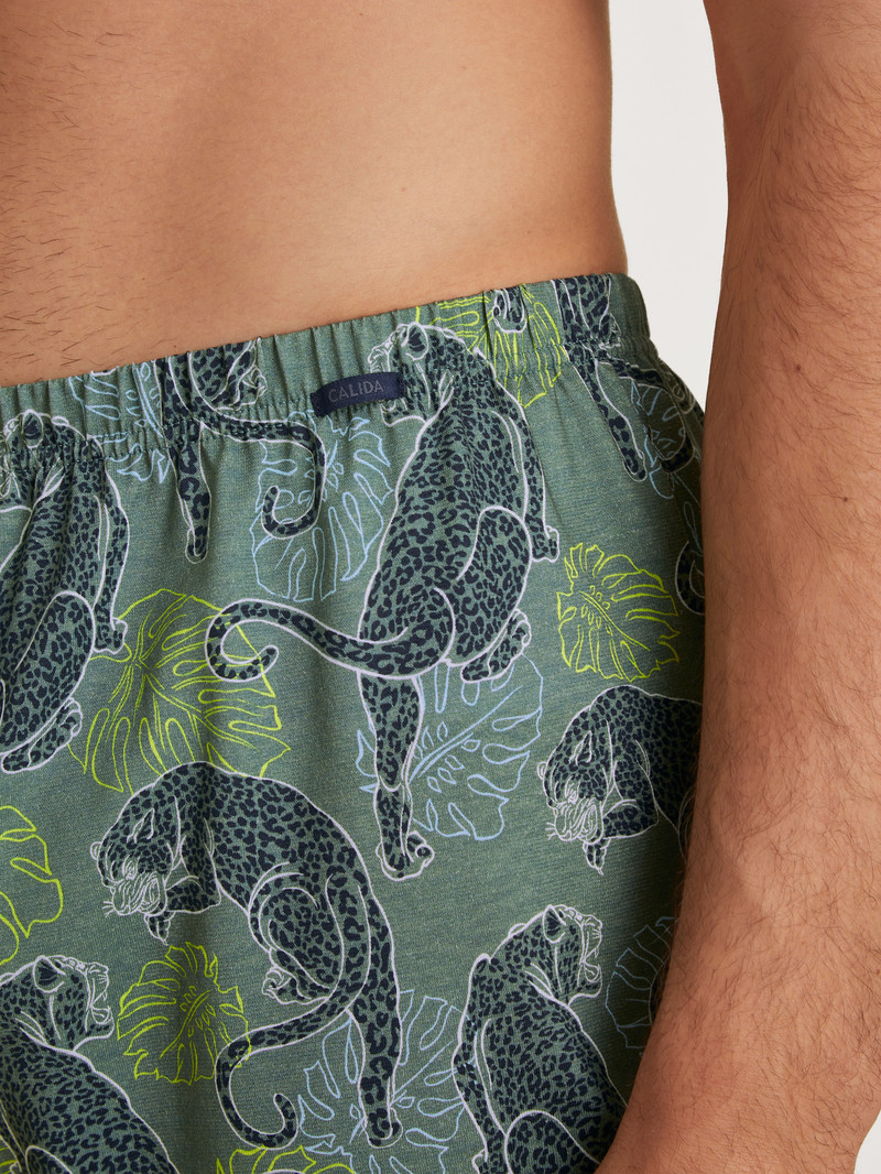 Laurel Green Print Calida Prints Boxer Shorts Men Underwear | WIUEG-5860